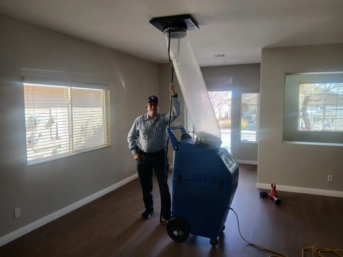 Professional Dryer Vent Cleaning work inside a Hopkins home